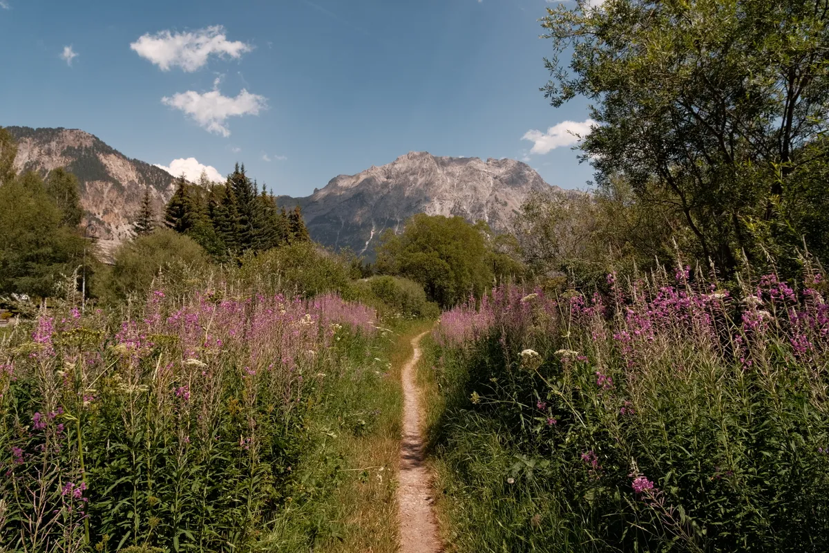 Landscape photograph