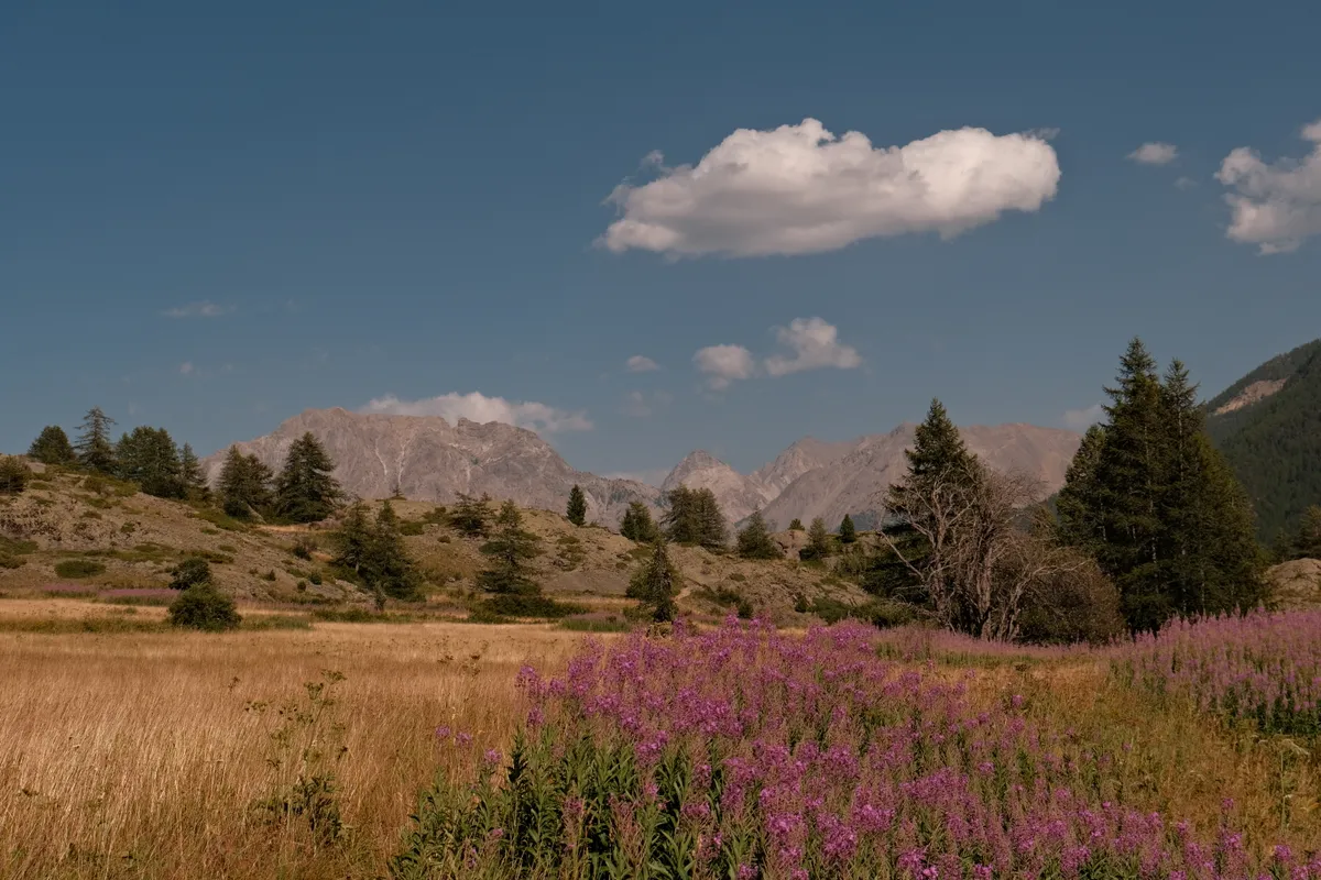 Landscape photograph