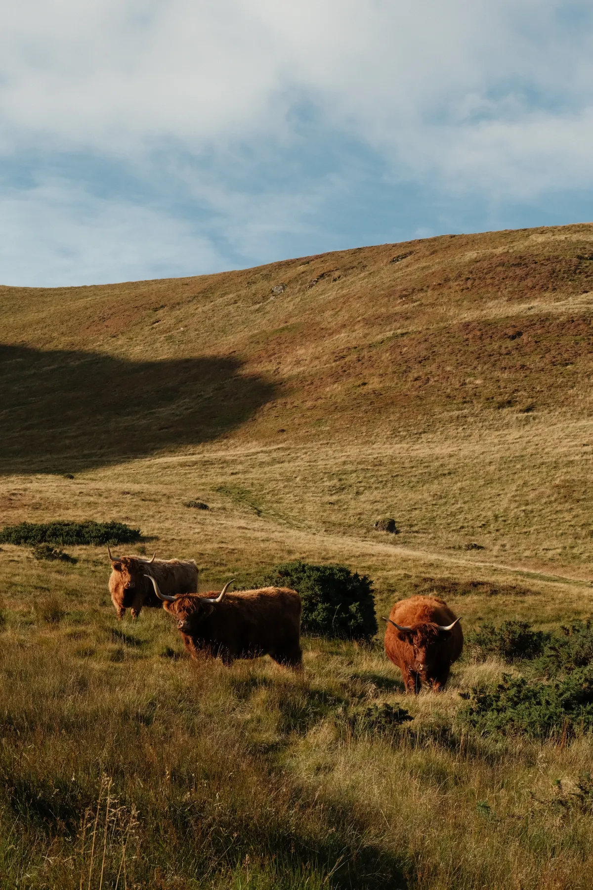 Landscape photograph
