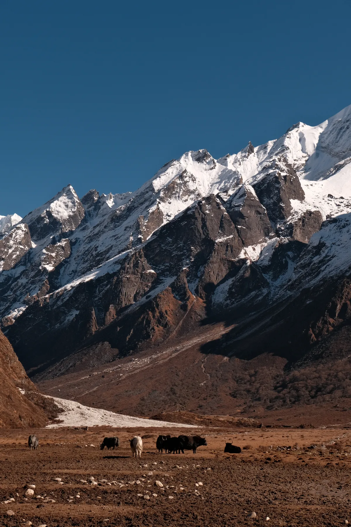Landscape photograph